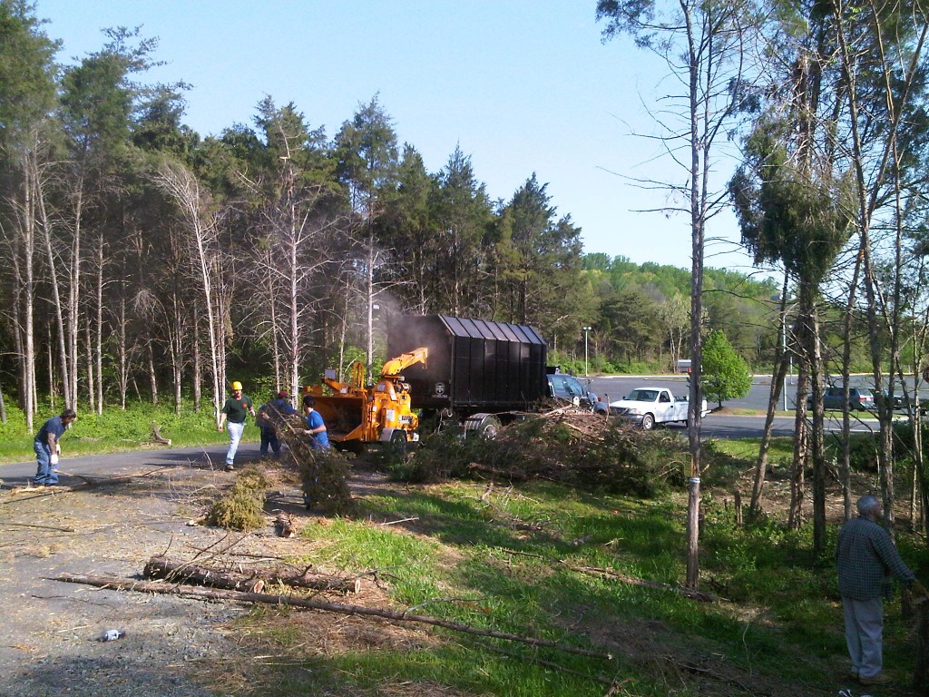 Crew clearing trees and brush on a property